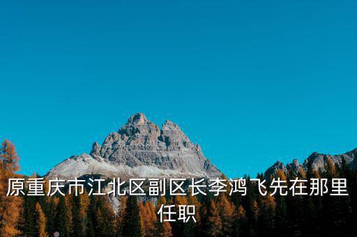 原重慶市江北區(qū)副區(qū)長李鴻飛先在那里任職