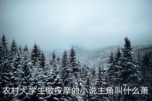 農(nóng)村大學(xué)生做按摩的小說主角叫什么蕭