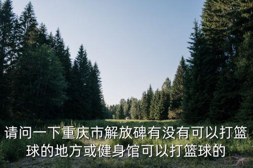 請(qǐng)問一下重慶市解放碑有沒有可以打籃球的地方或健身館可以打籃球的
