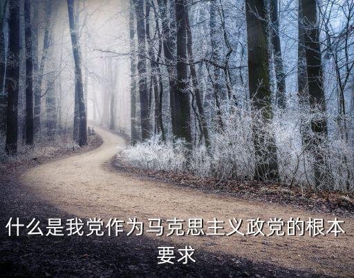 什么是我黨作為馬克思主義政黨的根本要求