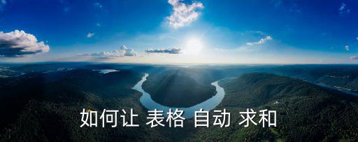 如何讓 表格 自動 求和