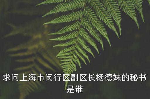 上海閔行區副區長，閔行區區長叫什么名字