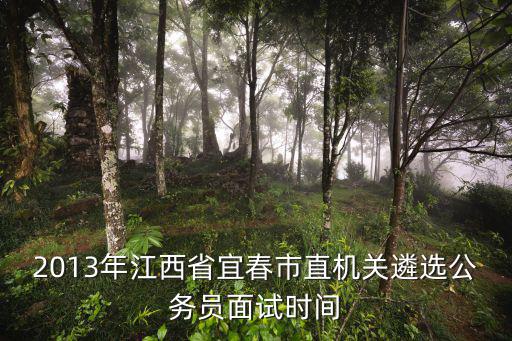 2013年江西省宜春市直機關遴選公務員面試時間