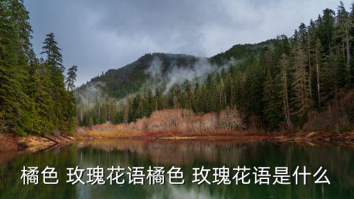 橘色 玫瑰花語橘色 玫瑰花語是什么