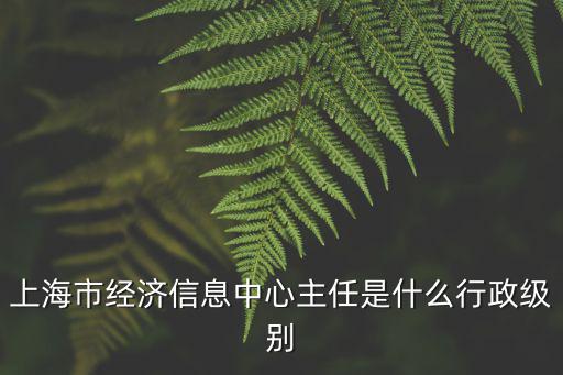 上海市經濟信息中心主任是什么行政級別