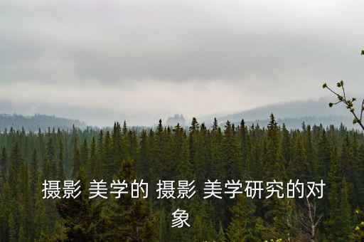 攝影 美學的 攝影 美學研究的對象