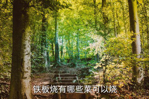 鐵板燒,鐵板上放什么菜都能做!