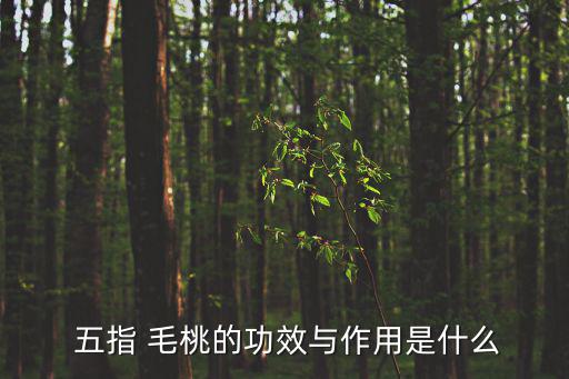  五指 毛桃的功效與作用是什么