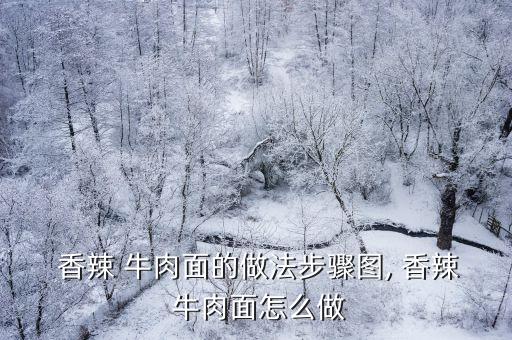  香辣 牛肉面的做法步驟圖, 香辣 牛肉面怎么做