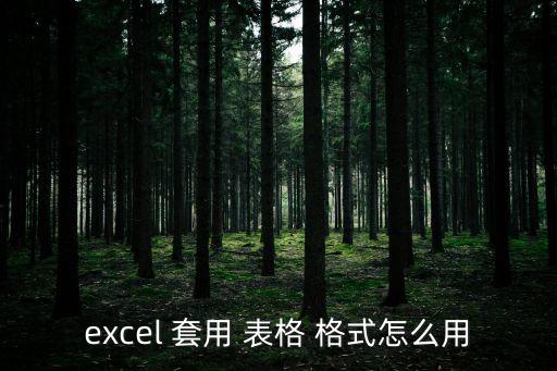 excel 套用 表格 格式怎么用