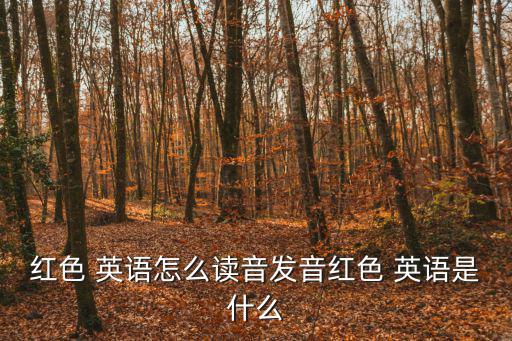 紅色 英語怎么讀音發音紅色 英語是什么