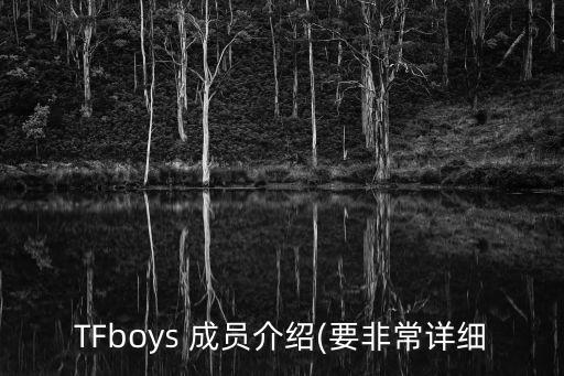 TFboys 成員介紹(要非常詳細(xì)