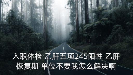 入職體檢 乙肝五項(xiàng)245陽(yáng)性 乙肝恢復(fù)期 單位不要我怎么解決啊