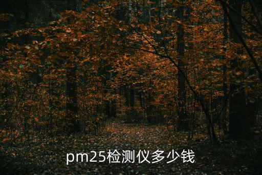 空氣檢測儀多少錢一臺，pm25檢測儀多少錢