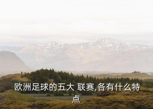 歐洲五大聯賽,足球聯賽成為世界上最受歡迎的體育賽事之一