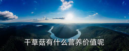 干草菇有什么營養(yǎng)價值呢