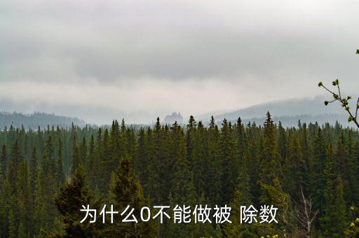 為什么0不能做被 除數