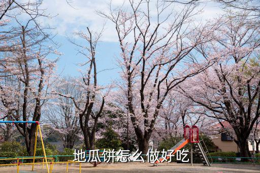  地瓜餅怎么做好吃