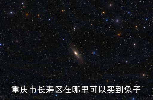 重慶市長壽區在哪里可以買到兔子