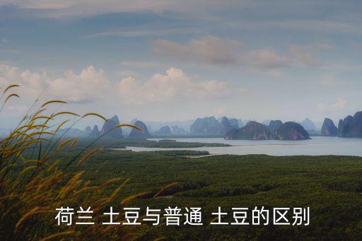  荷蘭 土豆與普通 土豆的區(qū)別