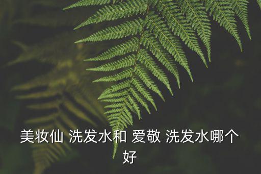 美妝仙 洗發水和 愛敬 洗發水哪個好