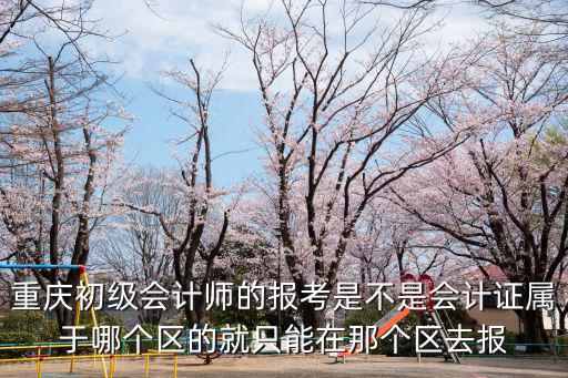 重慶初級會計師的報考是不是會計證屬于哪個區的就只能在那個區去報