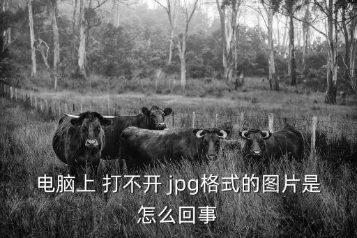 電腦上 打不開 jpg格式的圖片是怎么回事