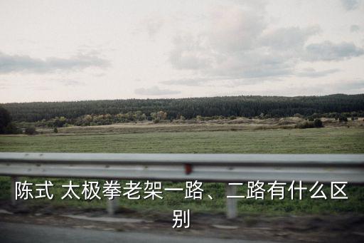 陳氏小架太極拳,陳氏14陳長興傳統太極拳一路二路