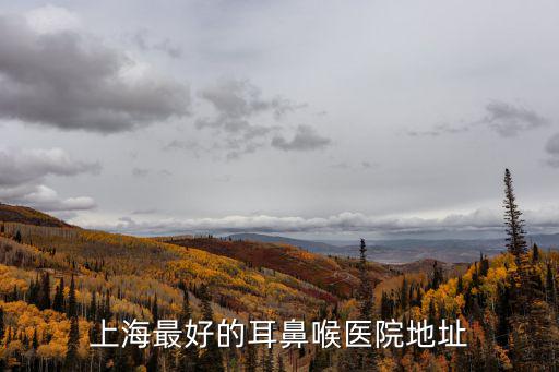 上海最好的耳鼻喉醫(yī)院地址