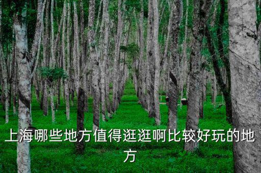 上海哪些地方值得逛逛啊比較好玩的地方