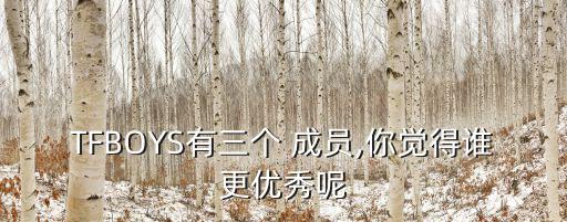 tfboys成員
