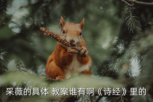 關(guān)雎教案,《詩(shī)經(jīng)》教案