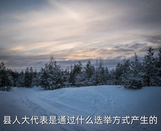 縣人大代表是通過什么選舉方式產生的