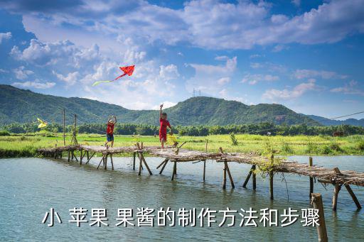 小 蘋果 果醬的制作方法和步驟