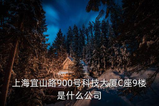 上海宜山路900號科技大廈C座9樓是什么公司