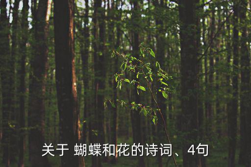 關(guān)于 蝴蝶和花的詩詞、4句