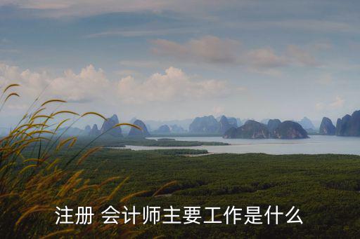 注冊 會計師主要工作是什么