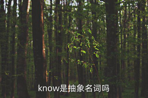 know是抽象名詞嗎