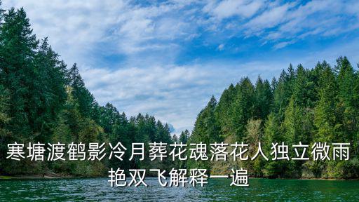 寒塘渡鶴影冷月葬花魂落花人獨立微雨艷雙飛解釋一遍