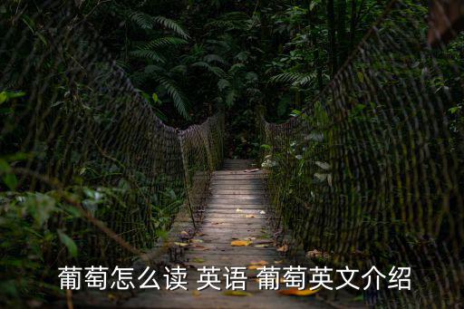  葡萄怎么讀 英語(yǔ) 葡萄英文介紹