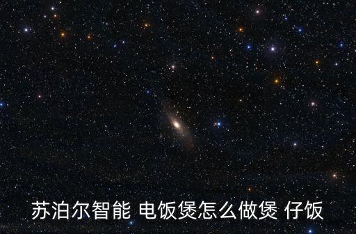 蘇泊爾智能 電飯煲怎么做煲 仔飯