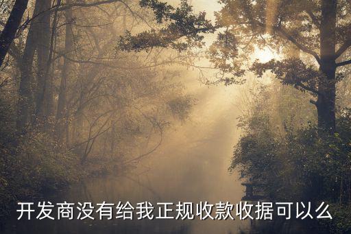 正規(guī)收款收據(jù)，開(kāi)發(fā)商沒(méi)有給我正規(guī)收款收據(jù)可以么