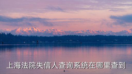 查上海被執(zhí)行人名單，上海法院失信人查詢系統(tǒng)在哪里查到