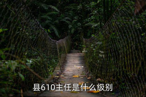 縣大數據中心主任啥級別，縣610主任是什么級別