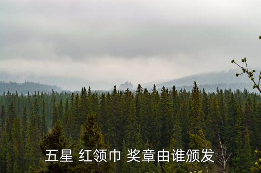 五星 紅領巾 獎章由誰頒發