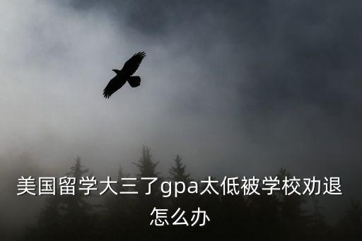 美國留學(xué)大三了gpa太低被學(xué)校勸退怎么辦