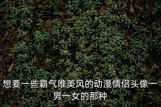 想要一些霸氣唯美風的動漫情侶頭像一男一女的那種