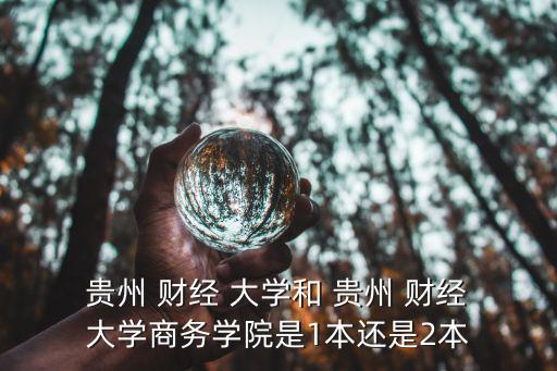 貴州 財(cái)經(jīng) 大學(xué)和 貴州 財(cái)經(jīng) 大學(xué)商務(wù)學(xué)院是1本還是2本