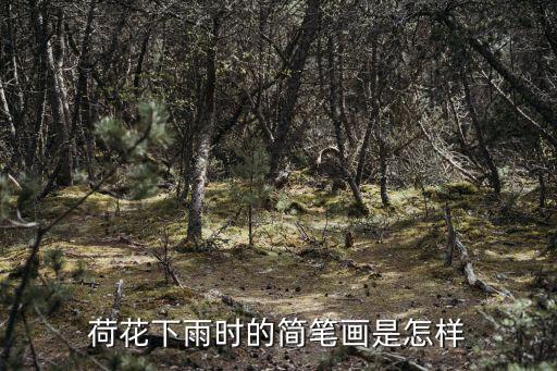 荷花下雨時(shí)的簡筆畫是怎樣