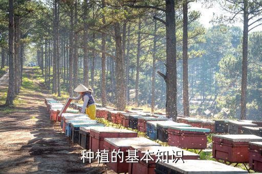  種植的基本知識